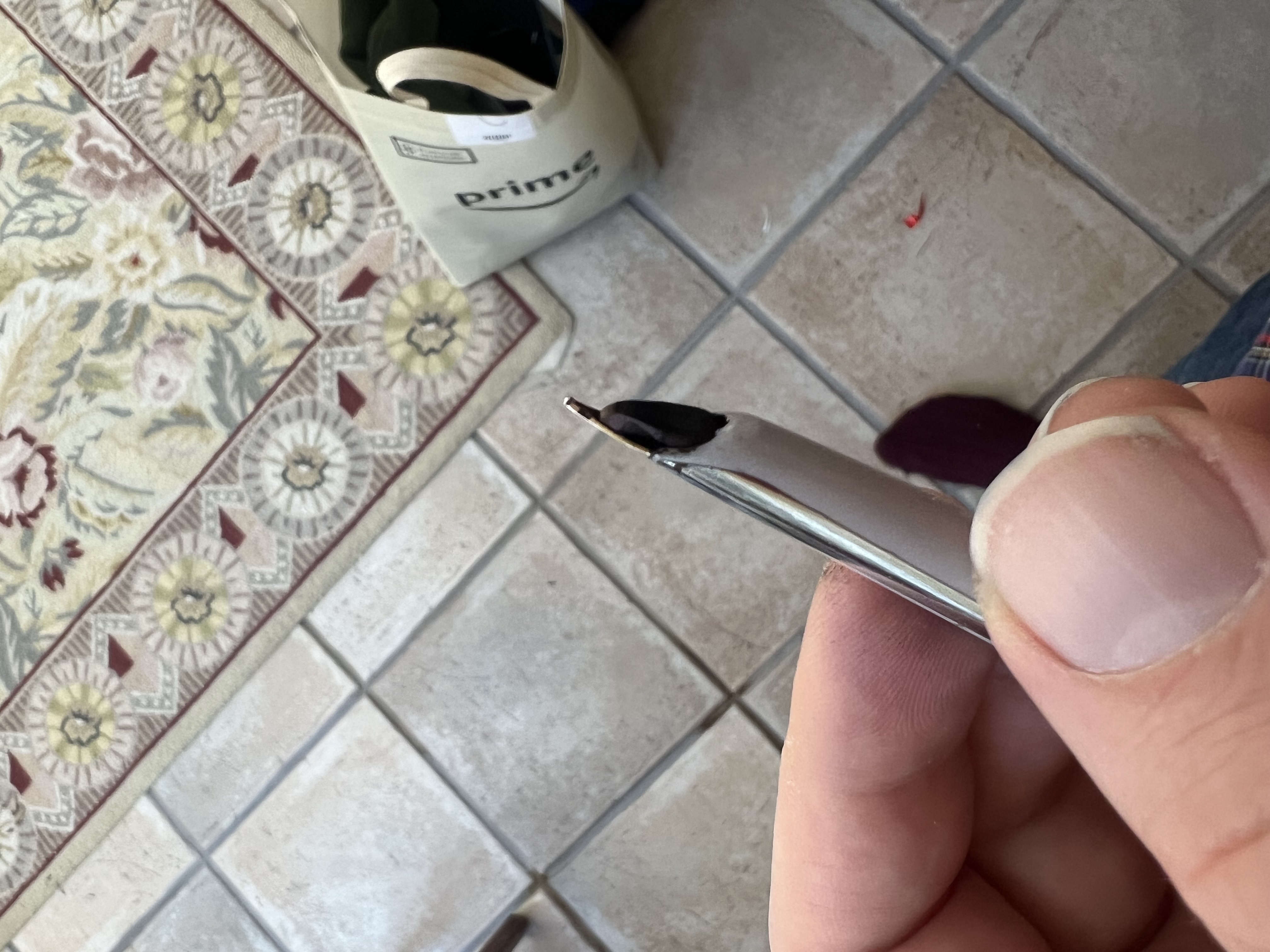 Waterman C/F — hooded nib showing blue line on grip
