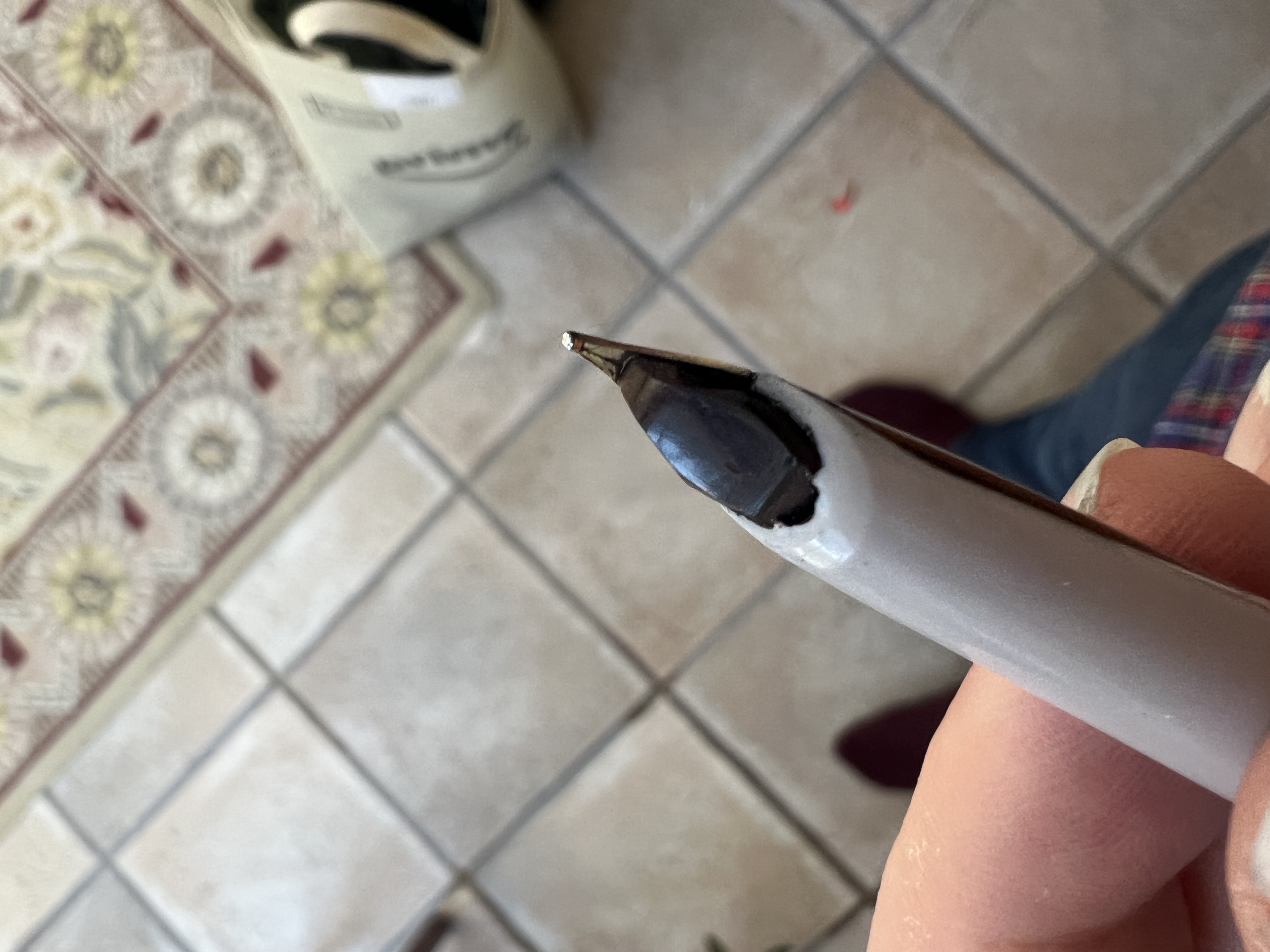 Waterman C/F — nib with ink flow